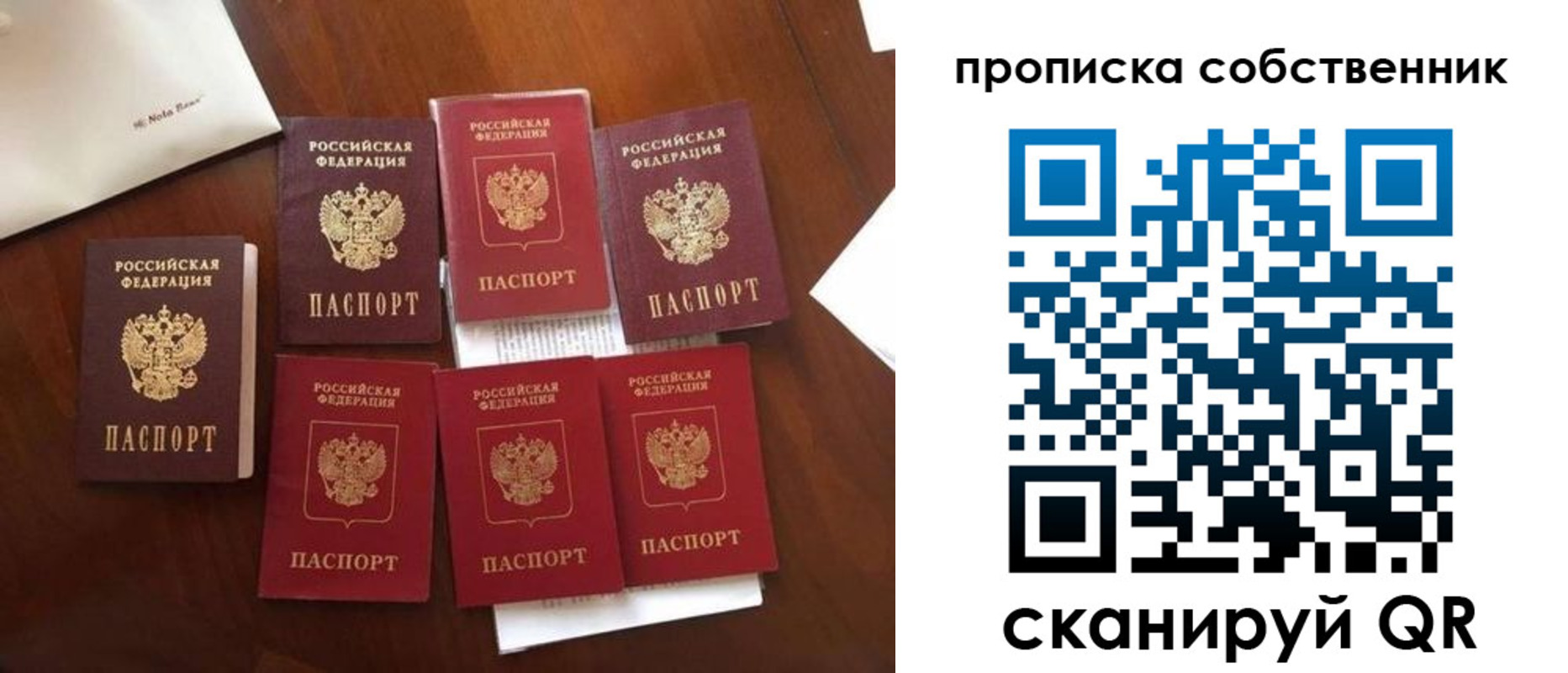 прописка для школы в Заволжске